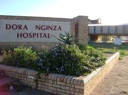 Dora Nginza Hospital Nursing School Contact Details